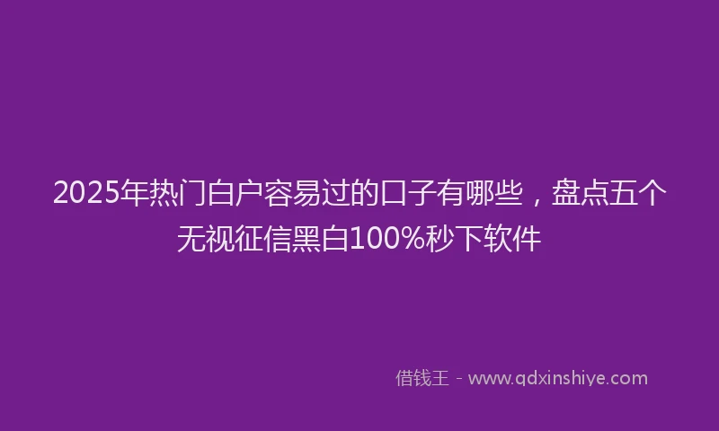2025年热门白户容易过的口子有哪些，盘点五个无视征信黑白100%秒下软件