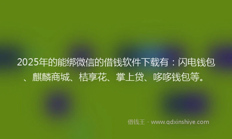 2025年的能绑微信的借钱软件下载有：闪电钱包、麒麟商城、桔享花、掌上贷、哆哆钱包等。