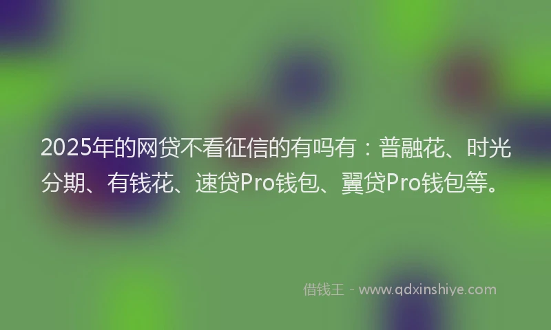 2025年的网贷不看征信的有吗有：普融花、时光分期、有钱花、速贷Pro钱包、翼贷Pro钱包等。