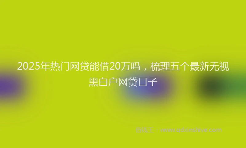 2025年热门网贷能借20万吗，梳理五个最新无视黑白户网贷口子