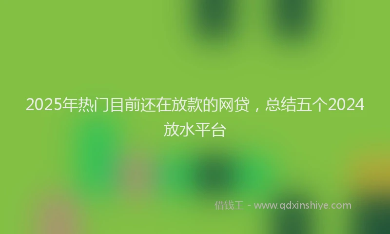 2025年热门目前还在放款的网贷，总结五个2024放水平台