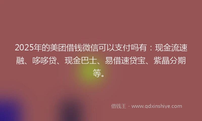 2025年的美团借钱微信可以支付吗有：现金流速融、哆哆贷、现金巴士、易借速贷宝、紫晶分期等。