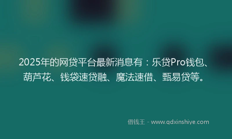 2025年的网贷平台最新消息有：乐贷Pro钱包、葫芦花、钱袋速贷融、魔法速借、甄易贷等。
