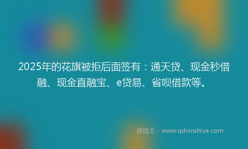 2025年的花旗被拒后面签有：通天贷、现金秒借融、现金直融宝、e贷易、省呗借款等。