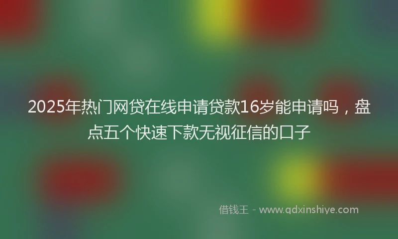 2025年热门网贷在线申请贷款16岁能申请吗，盘点五个快速下款无视征信的口子