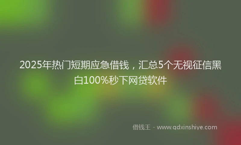 2025年热门短期应急借钱，汇总5个无视征信黑白100%秒下网贷软件