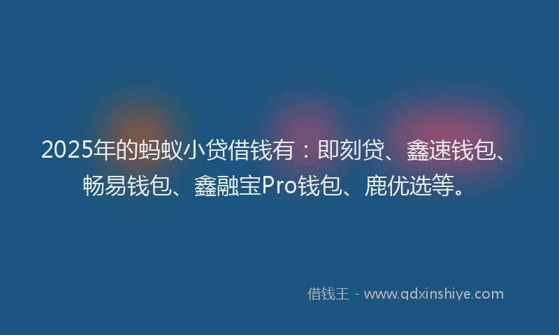 2025年的蚂蚁小贷借钱有：即刻贷、鑫速钱包、畅易钱包、鑫融宝Pro钱包、鹿优选等。