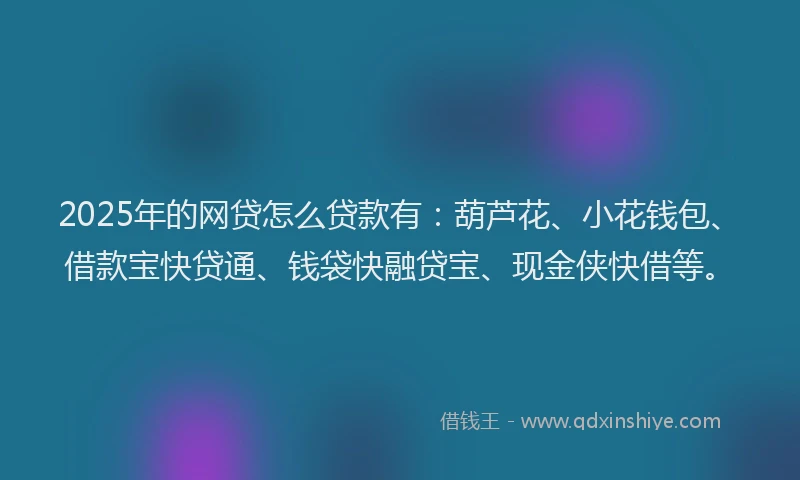 2025年的网贷怎么贷款有：葫芦花、小花钱包、借款宝快贷通、钱袋快融贷宝、现金侠快借等。