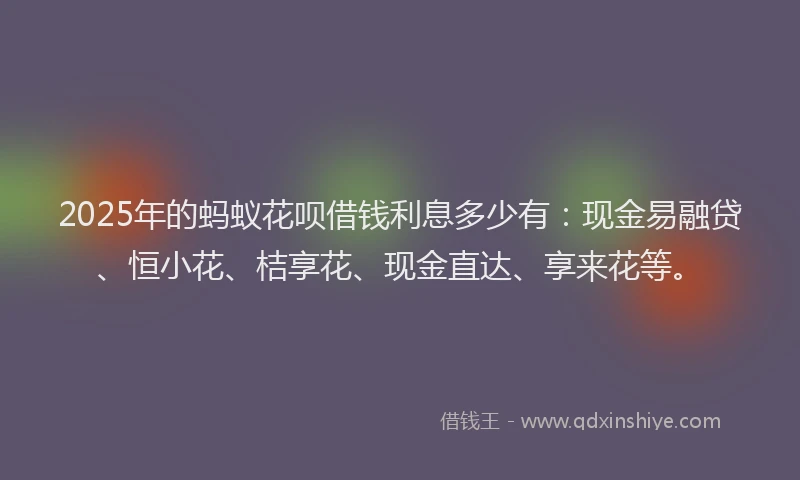 2025年的蚂蚁花呗借钱利息多少有：现金易融贷、恒小花、桔享花、现金直达、享来花等。