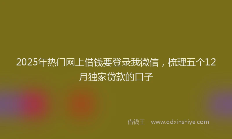 2025年热门网上借钱要登录我微信，梳理五个12月独家贷款的口子
