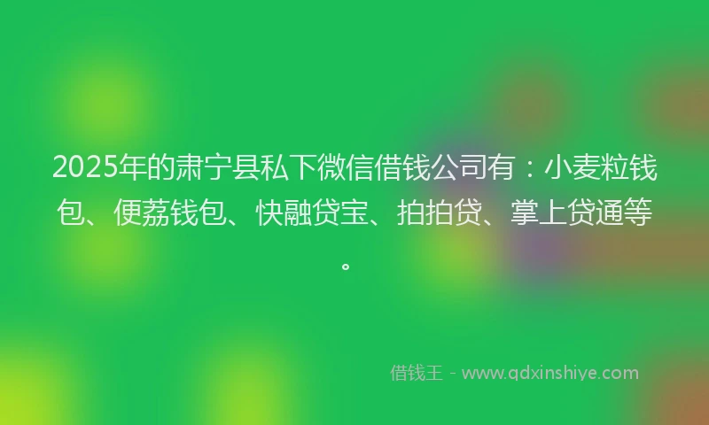 2025年的肃宁县私下微信借钱公司有：小麦粒钱包、便荔钱包、快融贷宝、拍拍贷、掌上贷通等。
