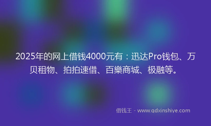 2025年的网上借钱4000元有：迅达Pro钱包、万贝租物、拍拍速借、百樂商城、极融等。