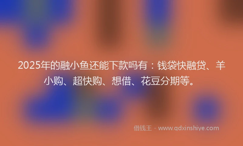 2025年的融小鱼还能下款吗有：钱袋快融贷、羊小购、超快购、想借、花豆分期等。