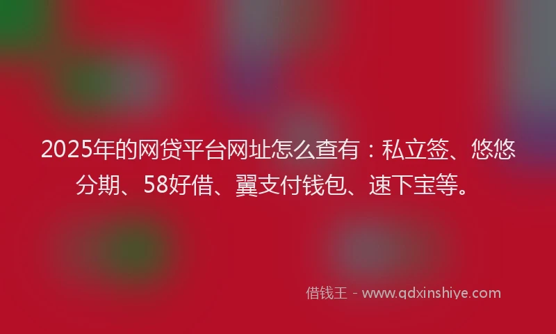 2025年的网贷平台网址怎么查有：私立签、悠悠分期、58好借、翼支付钱包、速下宝等。