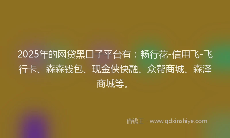 2025年的网贷黑口子平台有：畅行花-信用飞-飞行卡、森森钱包、现金侠快融、众帮商城、森泽商城等。