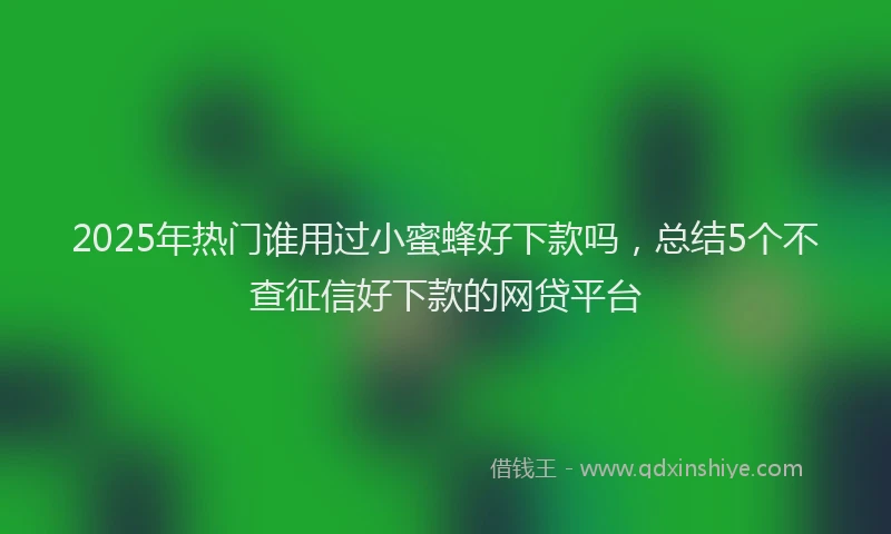 2025年热门谁用过小蜜蜂好下款吗，总结5个不查征信好下款的网贷平台