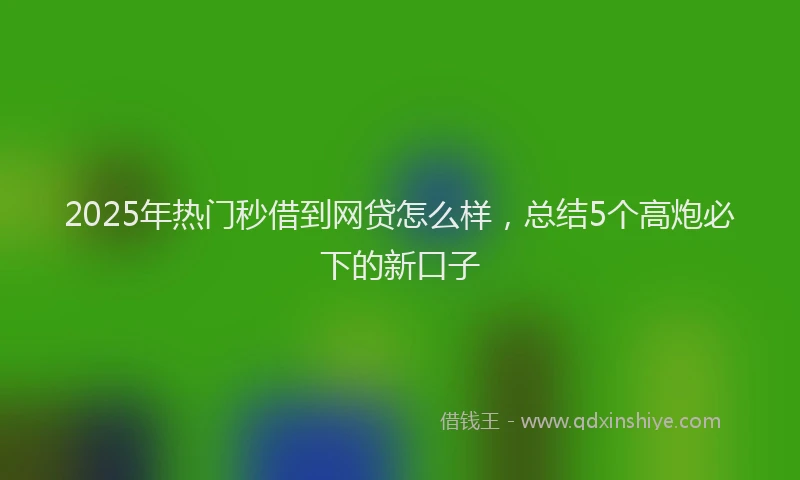 2025年热门秒借到网贷怎么样，总结5个高炮必下的新口子
