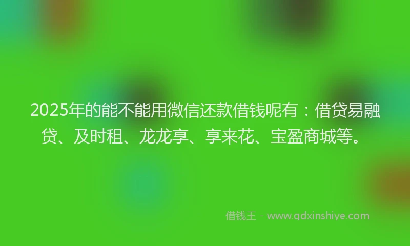 2025年的能不能用微信还款借钱呢有：借贷易融贷、及时租、龙龙享、享来花、宝盈商城等。