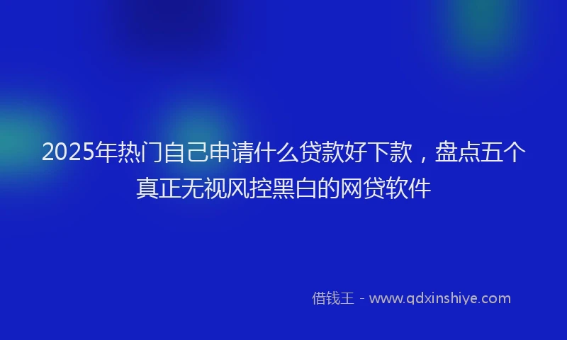 2025年热门自己申请什么贷款好下款，盘点五个真正无视风控黑白的网贷软件
