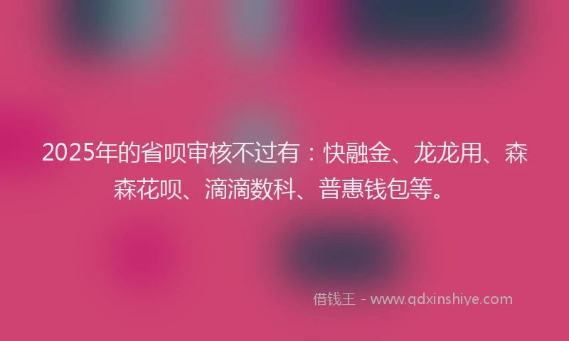 2025年的省呗审核不过有：快融金、龙龙用、森森花呗、滴滴数科、普惠钱包等。