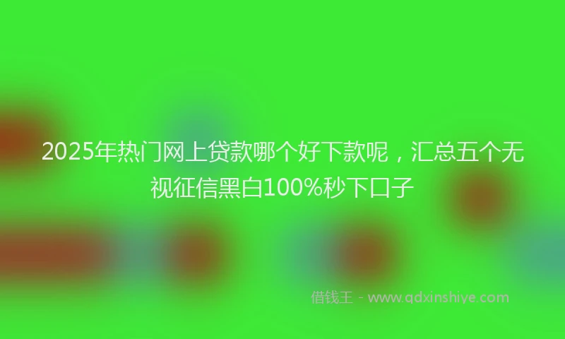 2025年热门网上贷款哪个好下款呢，汇总五个无视征信黑白100%秒下口子