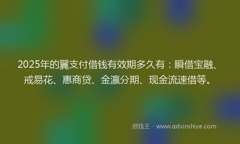 2025年的翼支付借钱有效期多久有：瞬借宝融、戒易花、惠商贷、金瀛分期、现金流速借等。