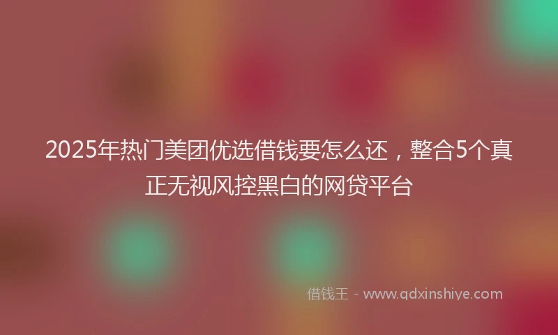 2025年热门美团优选借钱要怎么还，整合5个真正无视风控黑白的网贷平台