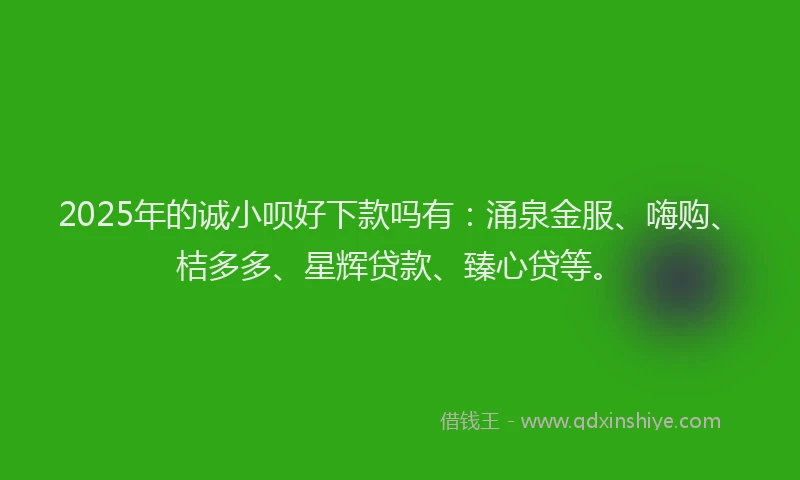 2025年的诚小呗好下款吗有：涌泉金服、嗨购、桔多多、星辉贷款、臻心贷等。