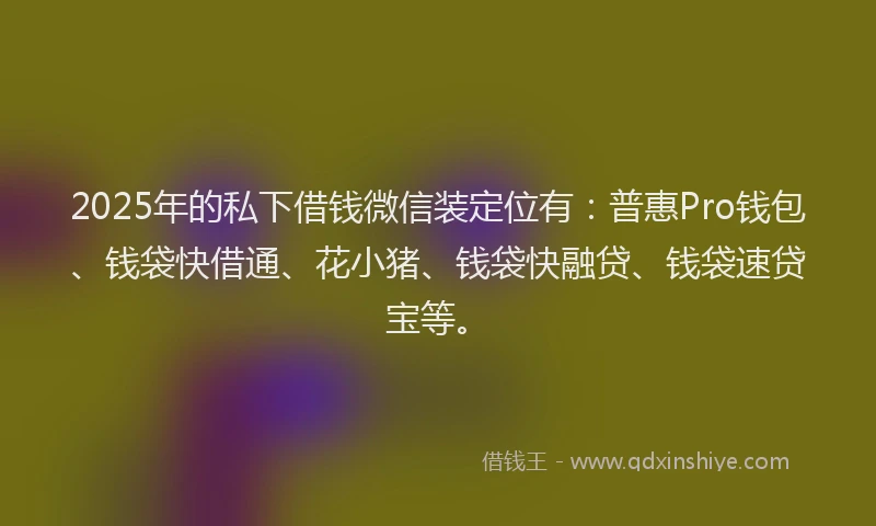 2025年的私下借钱微信装定位有：普惠Pro钱包、钱袋快借通、花小猪、钱袋快融贷、钱袋速贷宝等。