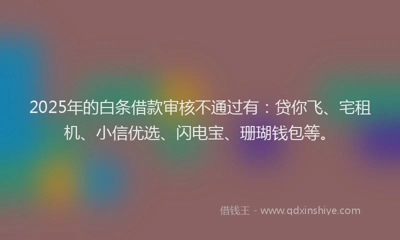 2025年的白条借款审核不通过有：贷你飞、宅租机、小信优选、闪电宝、珊瑚钱包等。
