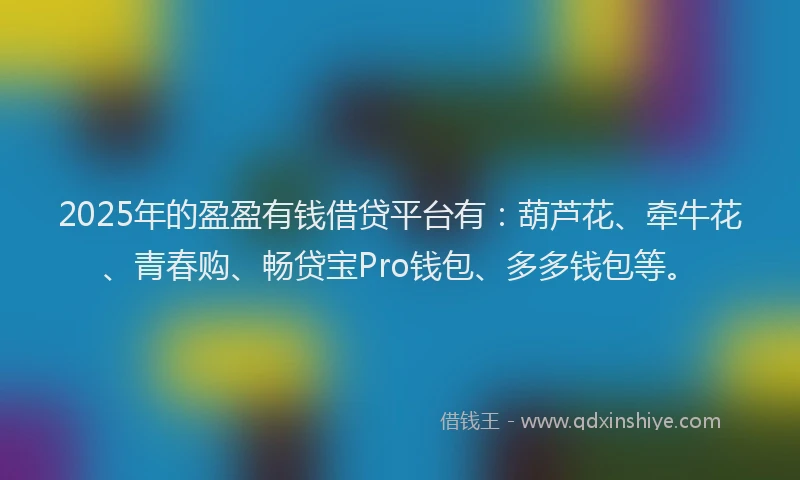 2025年的盈盈有钱借贷平台有：葫芦花、牵牛花、青春购、畅贷宝Pro钱包、多多钱包等。