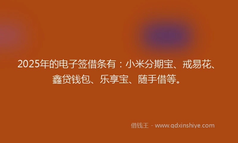 2025年的电子签借条有：小米分期宝、戒易花、鑫贷钱包、乐享宝、随手借等。