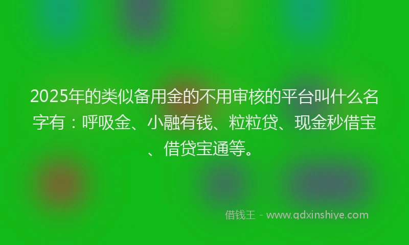 2025年的类似备用金的不用审核的平台叫什么名字有：呼吸金、小融有钱、粒粒贷、现金秒借宝、借贷宝通等。