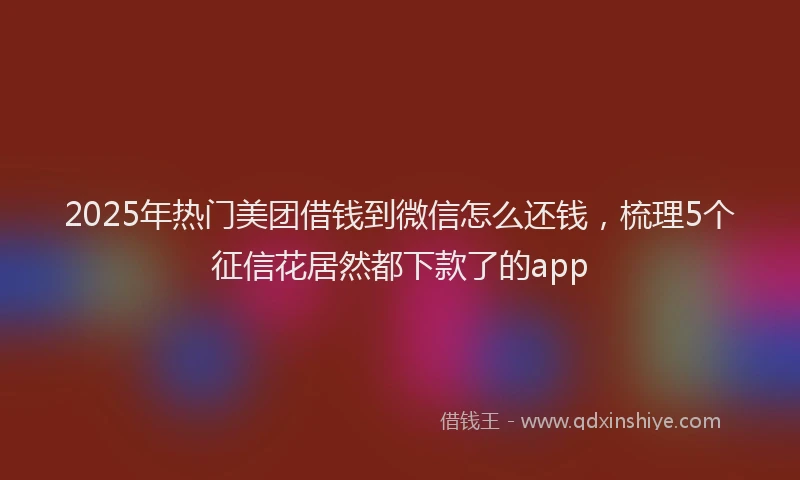 2025年热门美团借钱到微信怎么还钱，梳理5个征信花居然都下款了的app