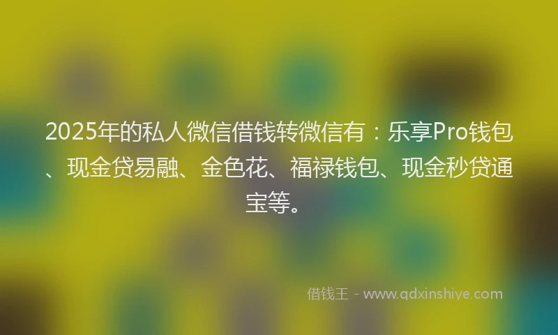 2025年的私人微信借钱转微信有：乐享Pro钱包、现金贷易融、金色花、福禄钱包、现金秒贷通宝等。