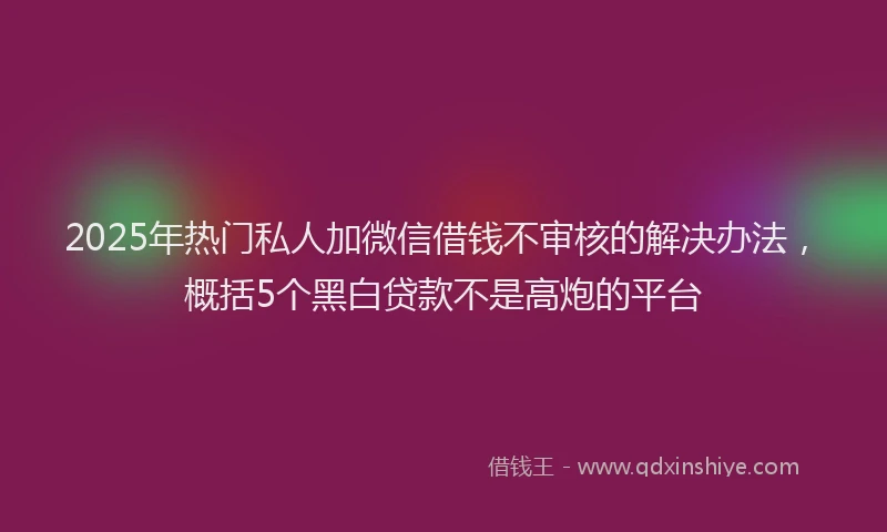 2025年热门私人加微信借钱不审核的解决办法，概括5个黑白贷款不是高炮的平台