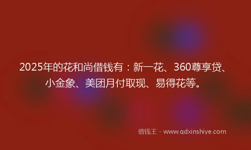 2025年的花和尚借钱有：新一花、360尊享贷、小金象、美团月付取现、易得花等。