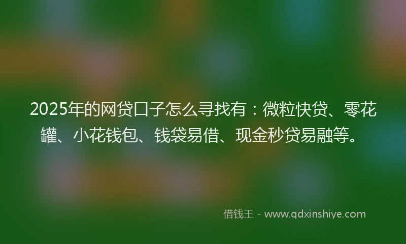 2025年的网贷口子怎么寻找有：微粒快贷、零花罐、小花钱包、钱袋易借、现金秒贷易融等。