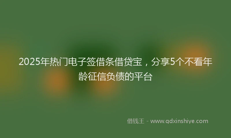 2025年热门电子签借条借贷宝，分享5个不看年龄征信负债的平台