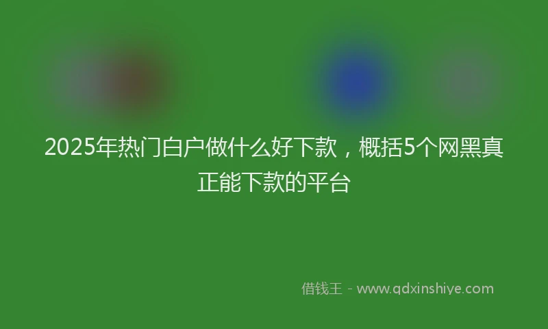 2025年热门白户做什么好下款，概括5个网黑真正能下款的平台