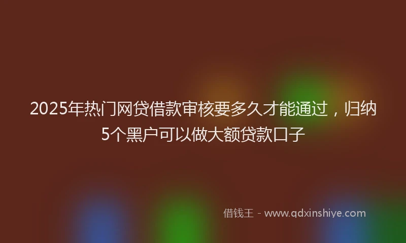 2025年热门网贷借款审核要多久才能通过，归纳5个黑户可以做大额贷款口子