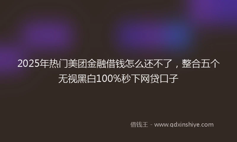 2025年热门美团金融借钱怎么还不了，整合五个无视黑白100%秒下网贷口子