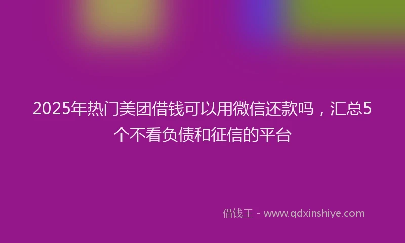 2025年热门美团借钱可以用微信还款吗，汇总5个不看负债和征信的平台