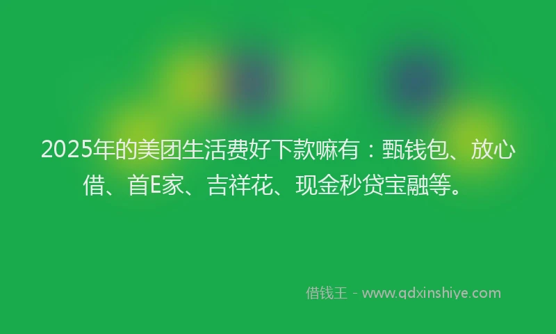2025年的美团生活费好下款嘛有：甄钱包、放心借、首E家、吉祥花、现金秒贷宝融等。