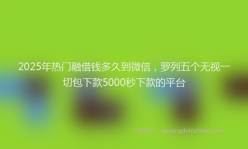 2025年热门融借钱多久到微信，罗列五个无视一切包下款5000秒下款的平台