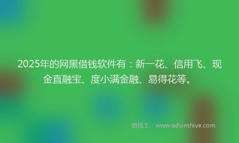 2025年的网黑借钱软件有：新一花、信用飞、现金直融宝、度小满金融、易得花等。
