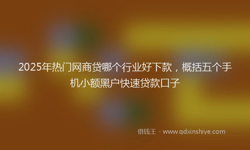 2025年热门网商贷哪个行业好下款，概括五个手机小额黑户快速贷款口子