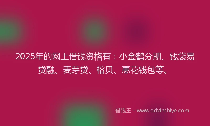 2025年的网上借钱资格有：小金鹤分期、钱袋易贷融、麦芽贷、榕贝、惠花钱包等。