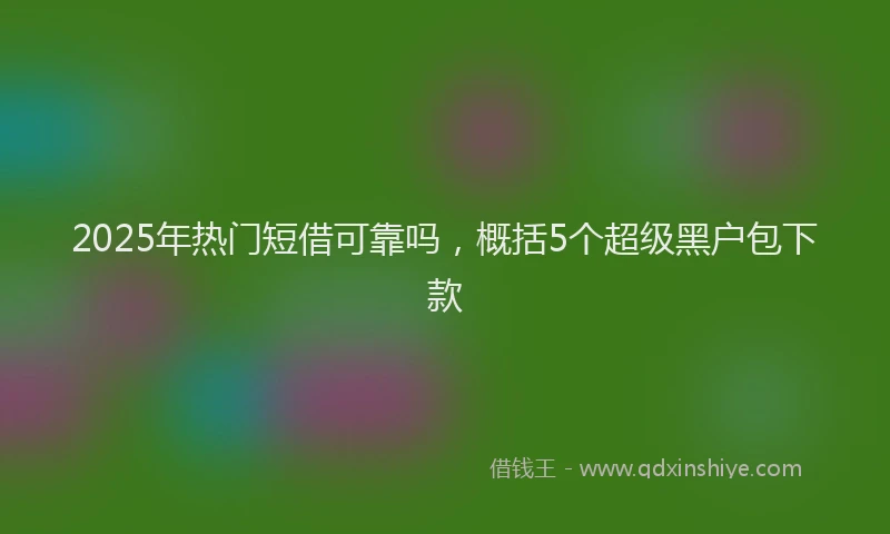 2025年热门短借可靠吗，概括5个超级黑户包下款