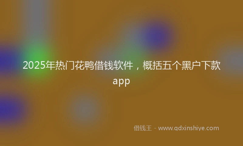 2025年热门花鸭借钱软件，概括五个黑户下款app